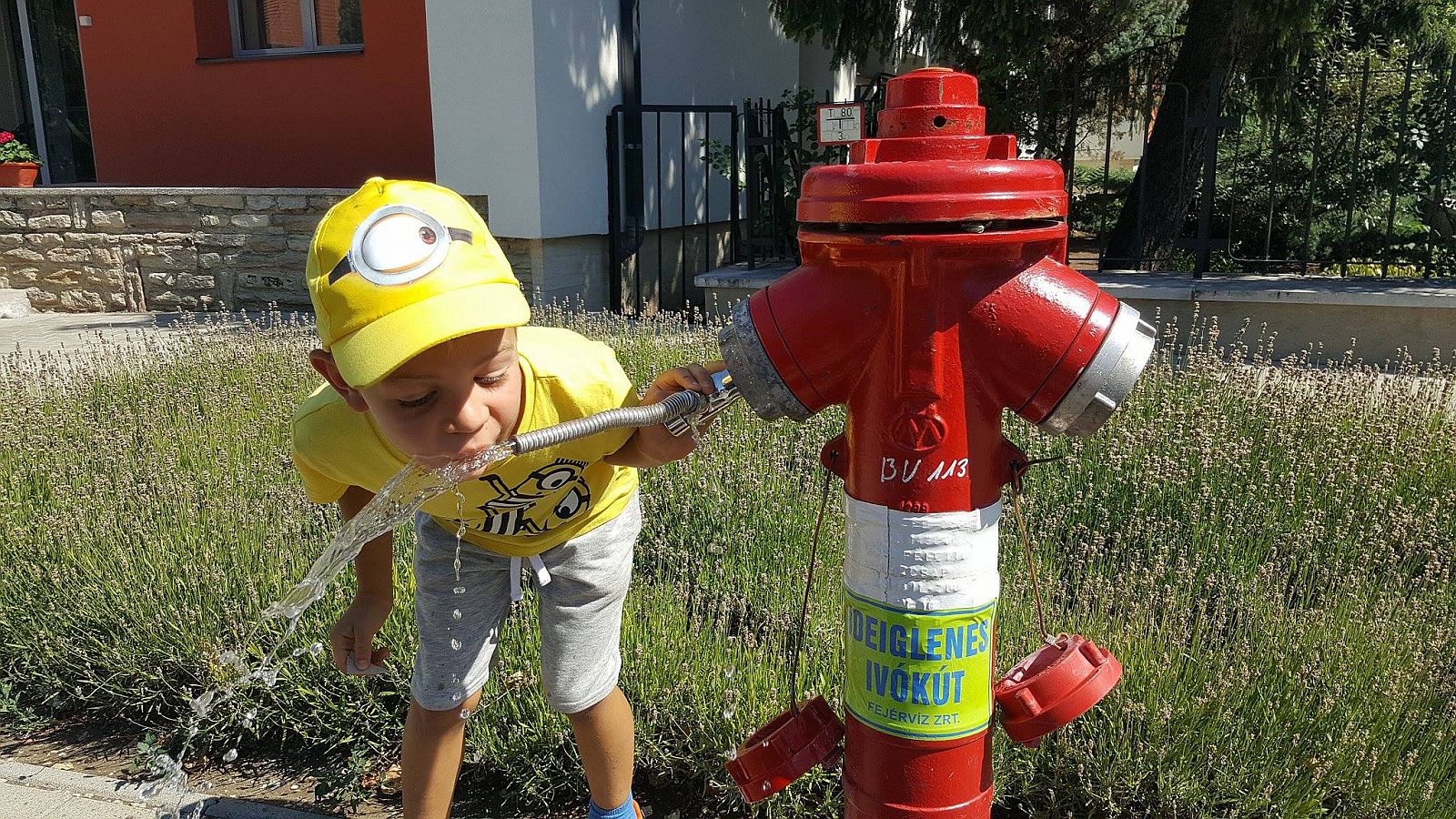 Harmadfokú hőségriasztás - Székesfehérvár polgármesterének tájékoztatója